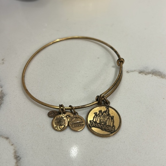 Alex and Ani Disneyland Disney Bangle Bracelet - Picture 4 of 4